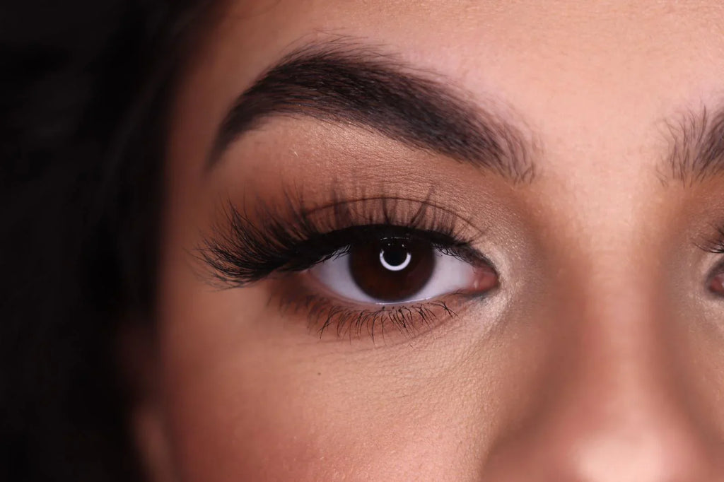 Daniella Striplashes